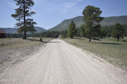 Tiny photo for TBD CR 2269, Nutrioso, AZ 85932 (MLS # 248079)