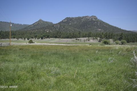 Tiny photo for TBD CR 2269, Nutrioso, AZ 85932 (MLS # 248079)