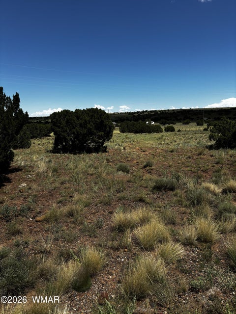 Tiny photo for TBD N7399, Chambers, AZ 86502 (MLS # 263055)