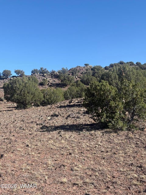 Tiny photo for TBD N7399, Chambers, AZ 86502 (MLS # 263055)