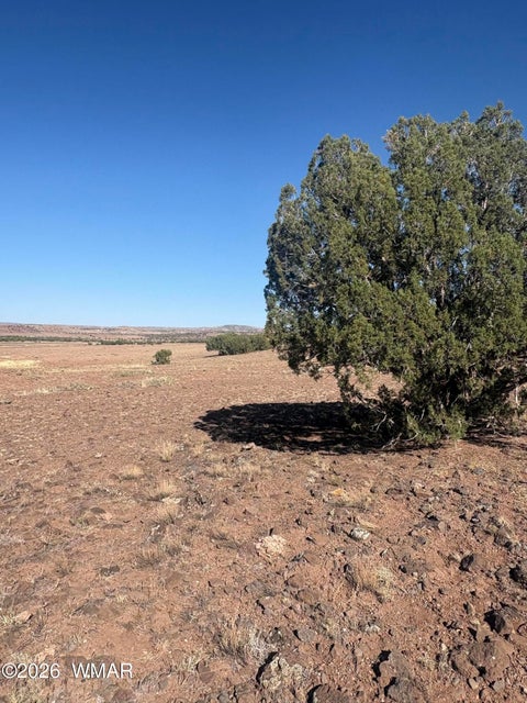 Tiny photo for TBD N7399, Chambers, AZ 86502 (MLS # 263055)
