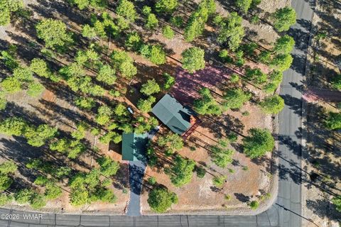 Tiny photo for 3738 Apache Drive, Happy Jack, AZ 86024 (MLS # 259570)