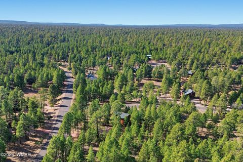 Tiny photo for 3738 Apache Drive, Happy Jack, AZ 86024 (MLS # 259570)