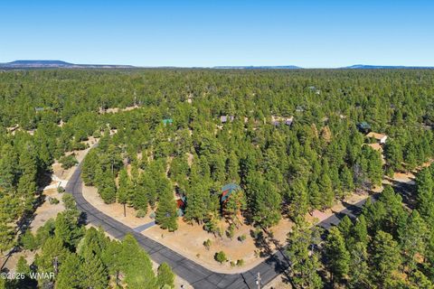 Tiny photo for 3738 Apache Drive, Happy Jack, AZ 86024 (MLS # 259570)