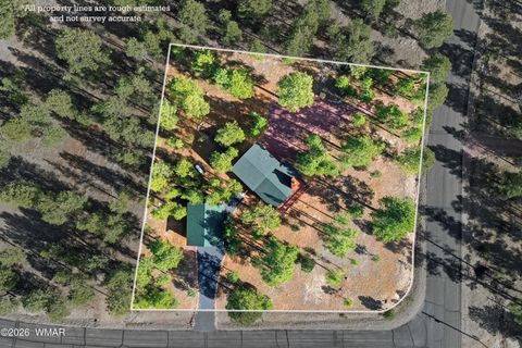 Tiny photo for 3738 Apache Drive, Happy Jack, AZ 86024 (MLS # 259570)