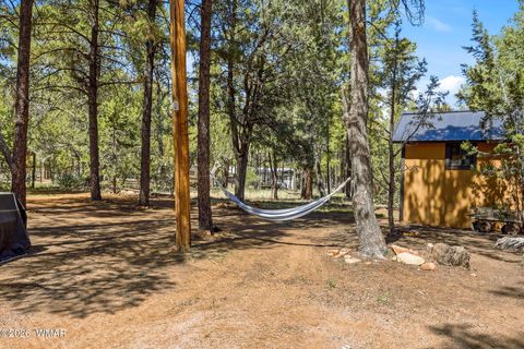 Tiny photo for 2136 Wildflower Road, Overgaard, AZ 85933 (MLS # 260217)