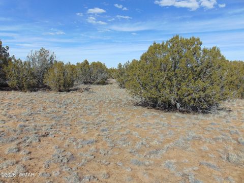 Photo of 51 & 49 County Road 8243 Road, Vernon, AZ 85940 (MLS # 260136)