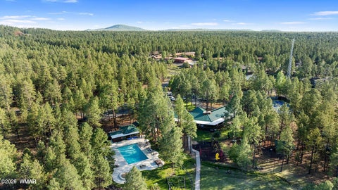 Tiny photo for 6087 Bobolink Way, Pinetop, AZ 85935 (MLS # 263509)