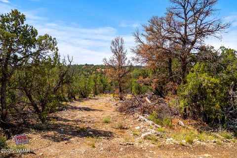 Tiny photo for 3656 Zane Grey Trail, Overgaard, AZ 85933 (MLS # 258153)