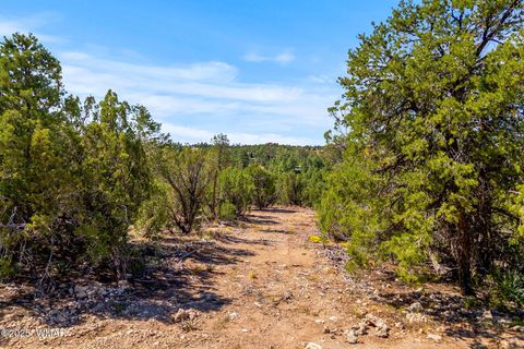 Tiny photo for 3656 Zane Grey Trail, Overgaard, AZ 85933 (MLS # 258153)