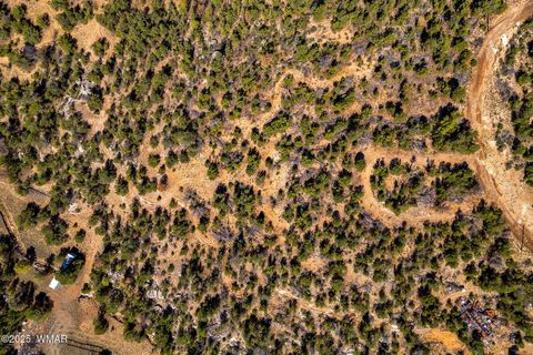 Tiny photo for 3656 Zane Grey Trail, Overgaard, AZ 85933 (MLS # 258153)