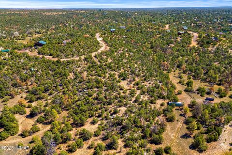 Tiny photo for 3656 Zane Grey Trail, Overgaard, AZ 85933 (MLS # 258153)
