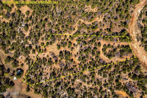 Tiny photo for 3656 Zane Grey Trail, Overgaard, AZ 85933 (MLS # 258153)
