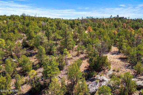 Photo of 3656 Zane Grey Trail, Overgaard, AZ 85933 (MLS # 258153)