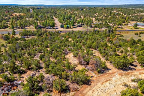 Tiny photo for 3656 Zane Grey Trail, Overgaard, AZ 85933 (MLS # 258153)