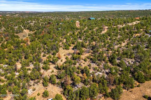 Tiny photo for 3656 Zane Grey Trail, Overgaard, AZ 85933 (MLS # 258153)