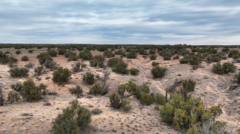 Tiny photo for 84 CR North 6269, Saint Johns, AZ 85936 (MLS # 259206)