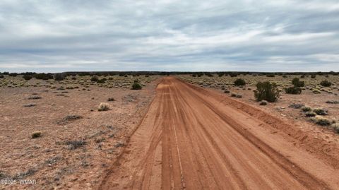 Tiny photo for 84 CR North 6269, Saint Johns, AZ 85936 (MLS # 259206)