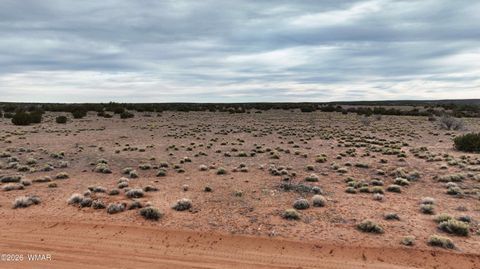 Tiny photo for 84 CR North 6269, Saint Johns, AZ 85936 (MLS # 259206)