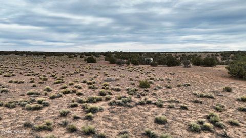 Tiny photo for 84 CR North 6269, Saint Johns, AZ 85936 (MLS # 259206)