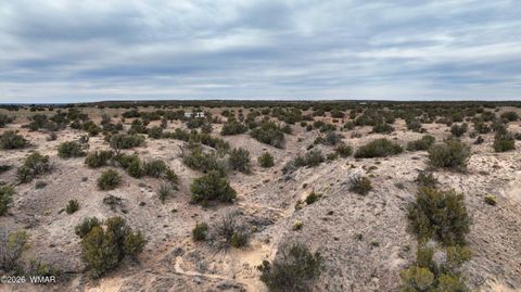 Tiny photo for 84 CR North 6269, Saint Johns, AZ 85936 (MLS # 259206)