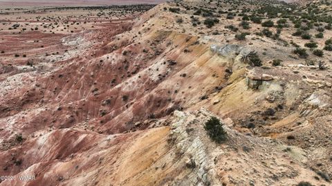 Tiny photo for 84 CR North 6269, Saint Johns, AZ 85936 (MLS # 259206)