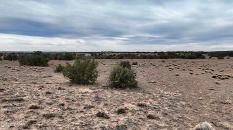 Tiny photo for 84 CR North 6269, Saint Johns, AZ 85936 (MLS # 259206)