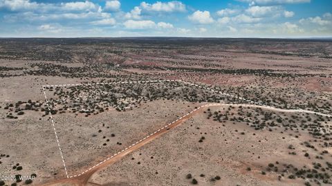 Tiny photo for 84 CR North 6269, Saint Johns, AZ 85936 (MLS # 259206)