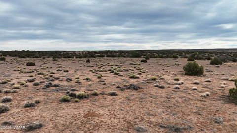 Tiny photo for 84 CR North 6269, Saint Johns, AZ 85936 (MLS # 259206)