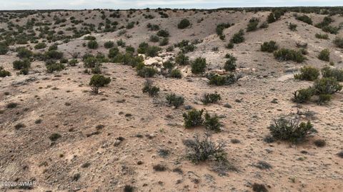 Tiny photo for 84 CR North 6269, Saint Johns, AZ 85936 (MLS # 259206)