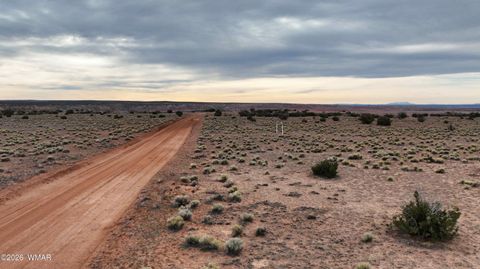 Tiny photo for 84 CR North 6269, Saint Johns, AZ 85936 (MLS # 259206)