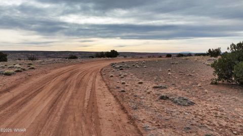Tiny photo for 84 CR North 6269, Saint Johns, AZ 85936 (MLS # 259206)