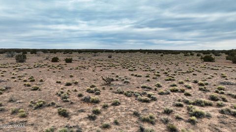 Tiny photo for 84 CR North 6269, Saint Johns, AZ 85936 (MLS # 259206)