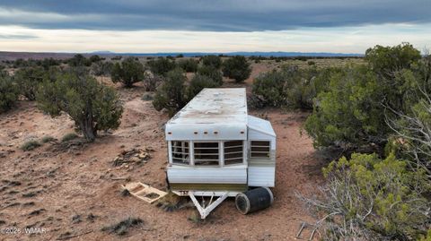 Tiny photo for 84 CR North 6269, Saint Johns, AZ 85936 (MLS # 259206)