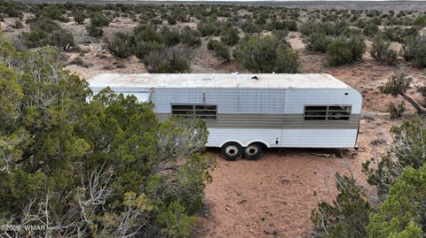 Tiny photo for 84 CR North 6269, Saint Johns, AZ 85936 (MLS # 259206)