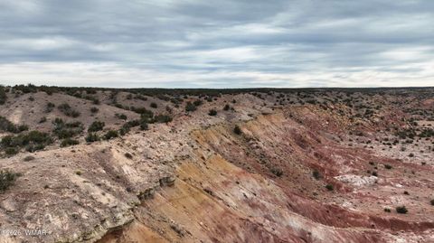 Tiny photo for 84 CR North 6269, Saint Johns, AZ 85936 (MLS # 259206)