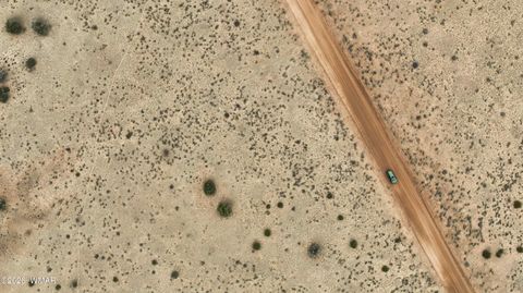 Tiny photo for 84 CR North 6269, Saint Johns, AZ 85936 (MLS # 259206)