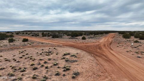 Tiny photo for 84 CR North 6269, Saint Johns, AZ 85936 (MLS # 259206)