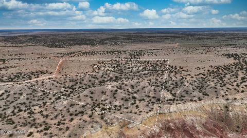 Tiny photo for 84 CR North 6269, Saint Johns, AZ 85936 (MLS # 259206)