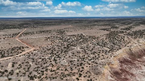 Tiny photo for 84 CR North 6269, Saint Johns, AZ 85936 (MLS # 259206)