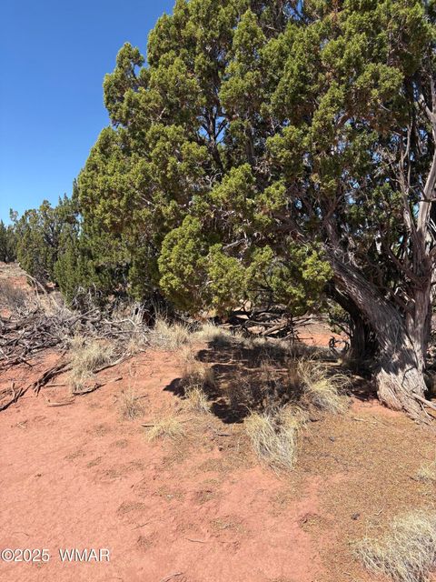 Tiny photo for 438A Yaqui Dr, Snowflake, AZ 85937 (MLS # 257324)