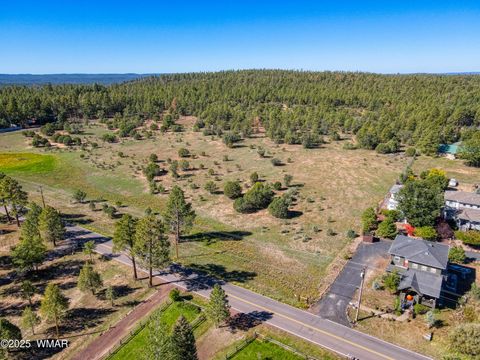 Photo of 3350 W Rim Road Parcel #5, Lakeside, AZ 85929 (MLS # 258383)