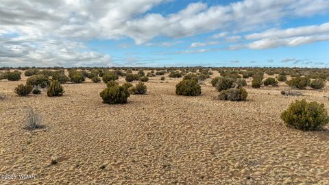 Tiny photo for TBD Shumway Rd - Lot 5, Shumway, AZ 85901 (MLS # 259330)