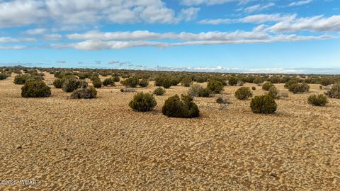 Tiny photo for TBD Shumway Rd - Lot 5, Shumway, AZ 85901 (MLS # 259330)