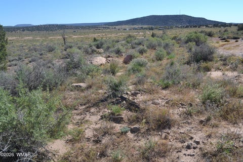 Tiny photo for 4985 Cedar Hills Road, Snowflake, AZ 85937 (MLS # 263546)