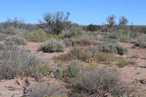 Tiny photo for 4985 Cedar Hills Road, Snowflake, AZ 85937 (MLS # 263546)