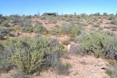 Tiny photo for 4985 Cedar Hills Road, Snowflake, AZ 85937 (MLS # 263546)