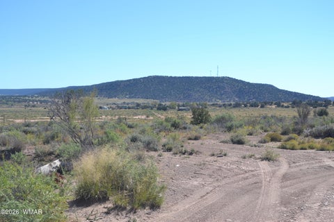 Tiny photo for 4985 Cedar Hills Road, Snowflake, AZ 85937 (MLS # 263546)