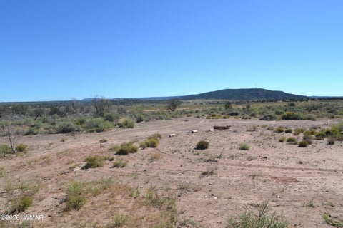 Tiny photo for 4985 Cedar Hills Road, Snowflake, AZ 85937 (MLS # 263546)