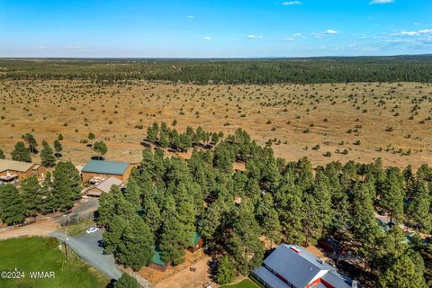 Tiny photo for 2708 High Pine Loop, Overgaard, AZ 85933 (MLS # 252897)